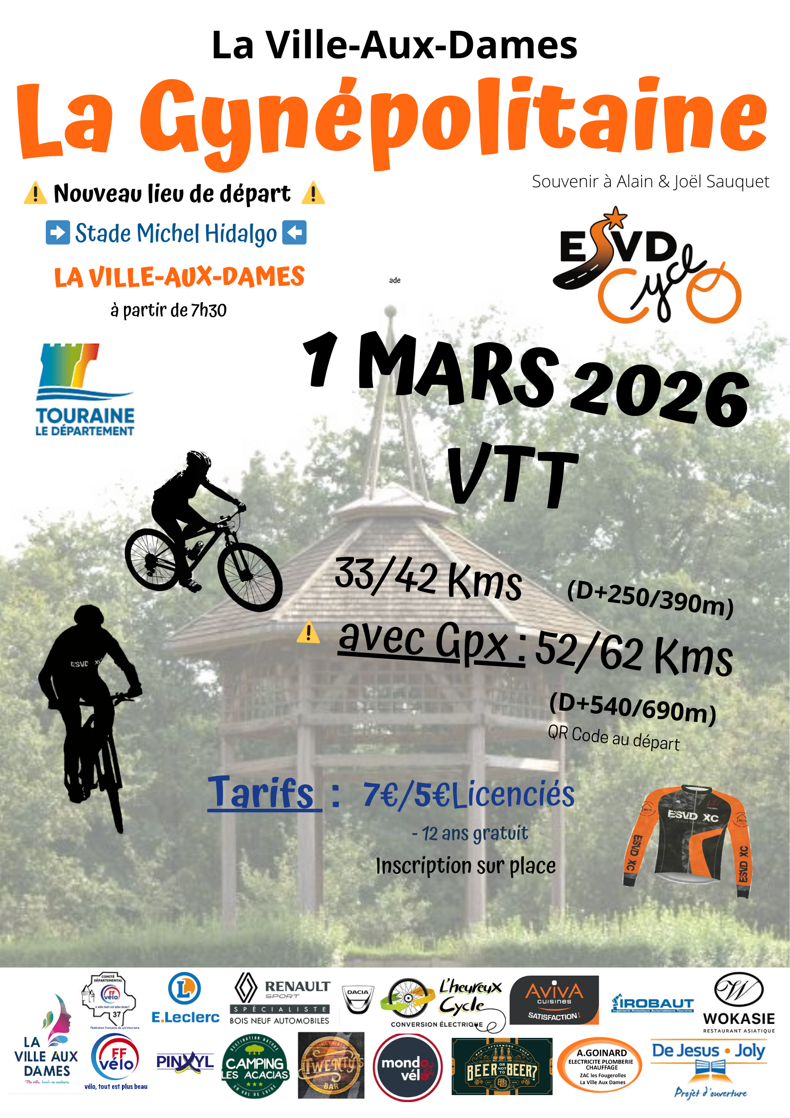 Affiche La gynepolitaine